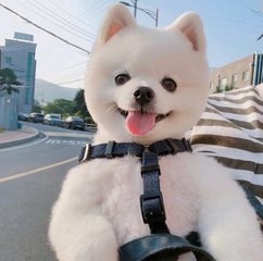 BTC钱包安卓版